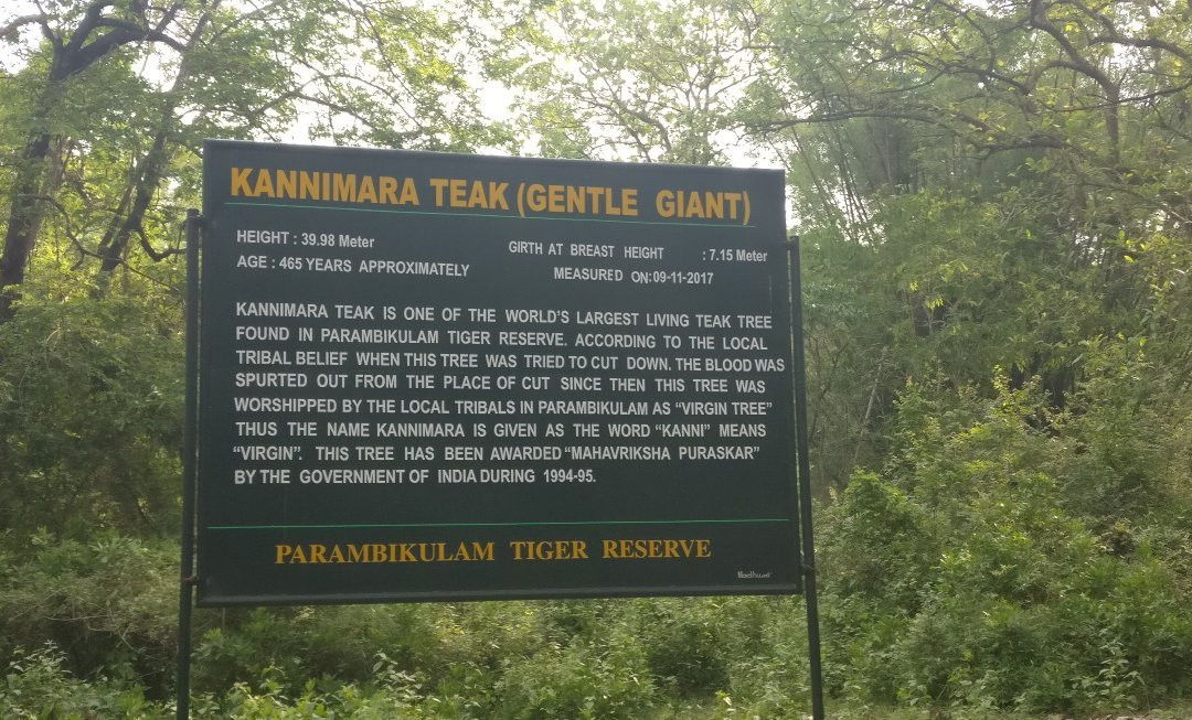 Parambikulam Tiger Reserve景点图片