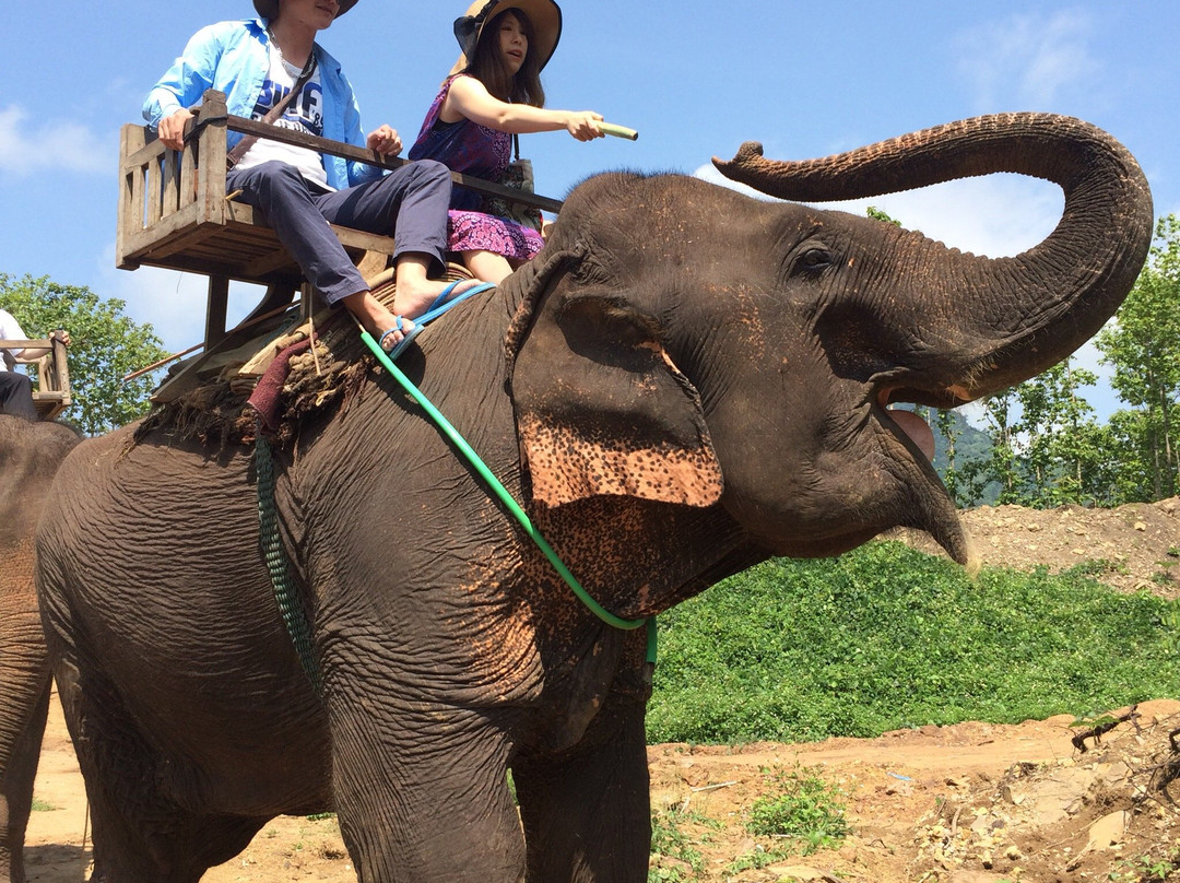 Elephant Riding at Elephant Village-Molagoda必去景点