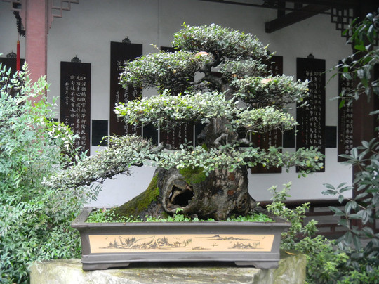 昭觉寺-成都必去景点