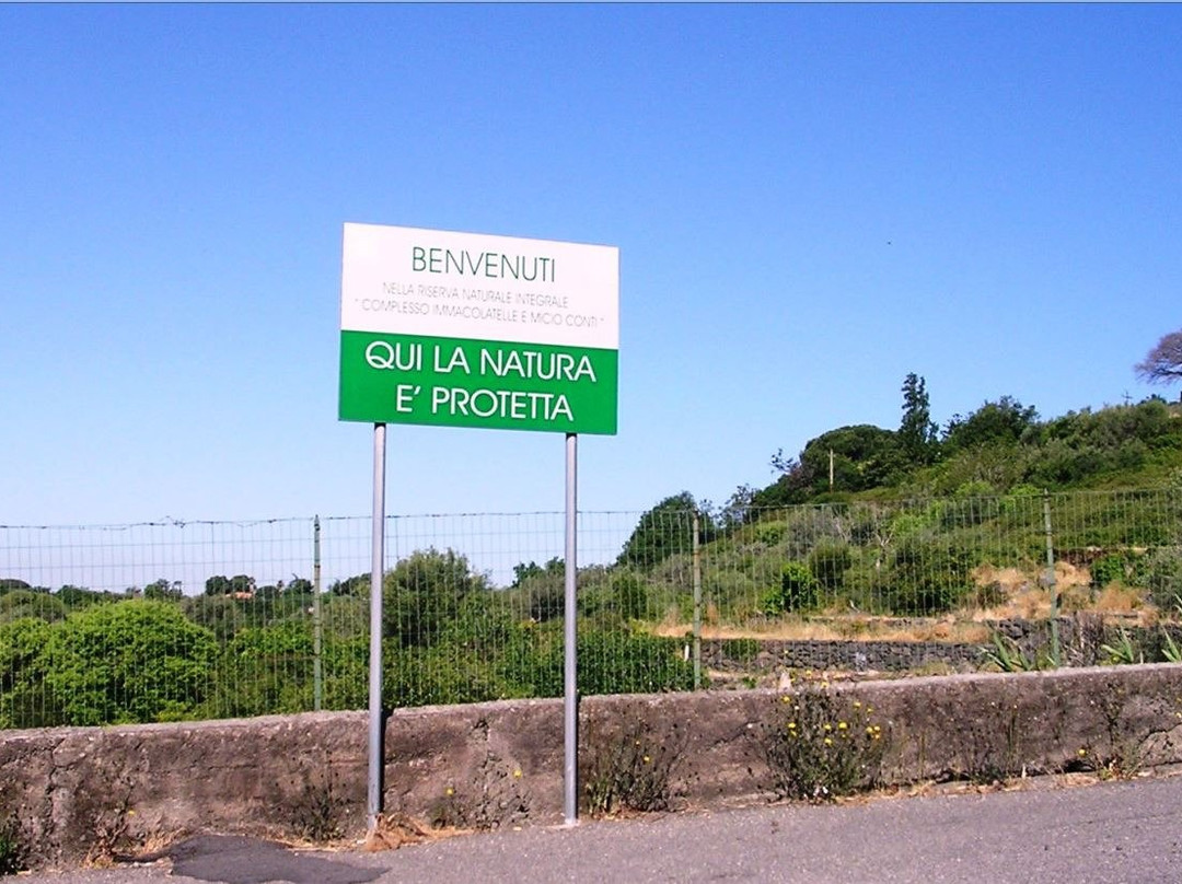 Riserva Naturale Integrale Complesso Immacolatelle e Micio Conti景点图片