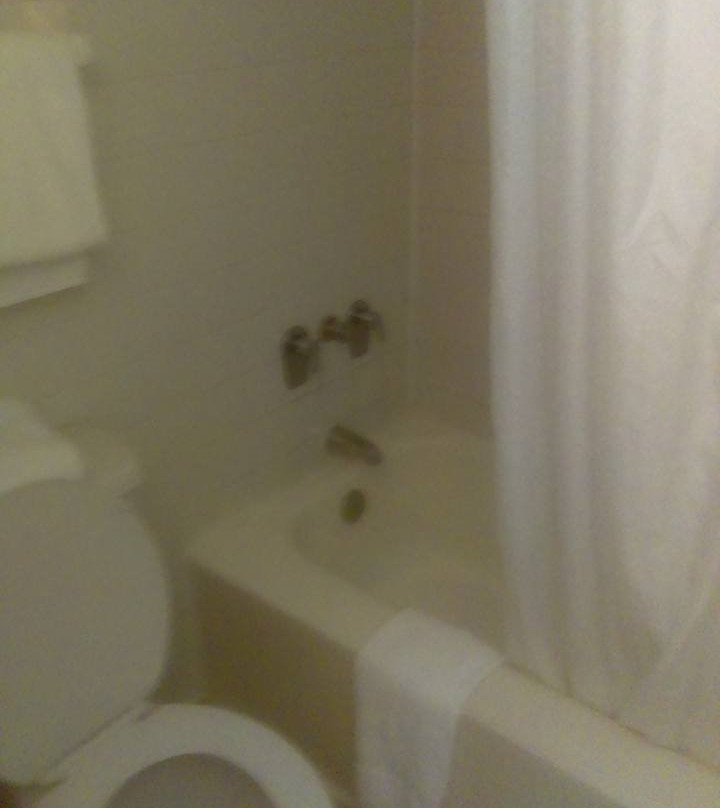 Days Inn by Wyndham Alexandria South主图