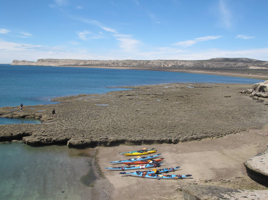 Patagonia Explorers Sea Kayak景点图片