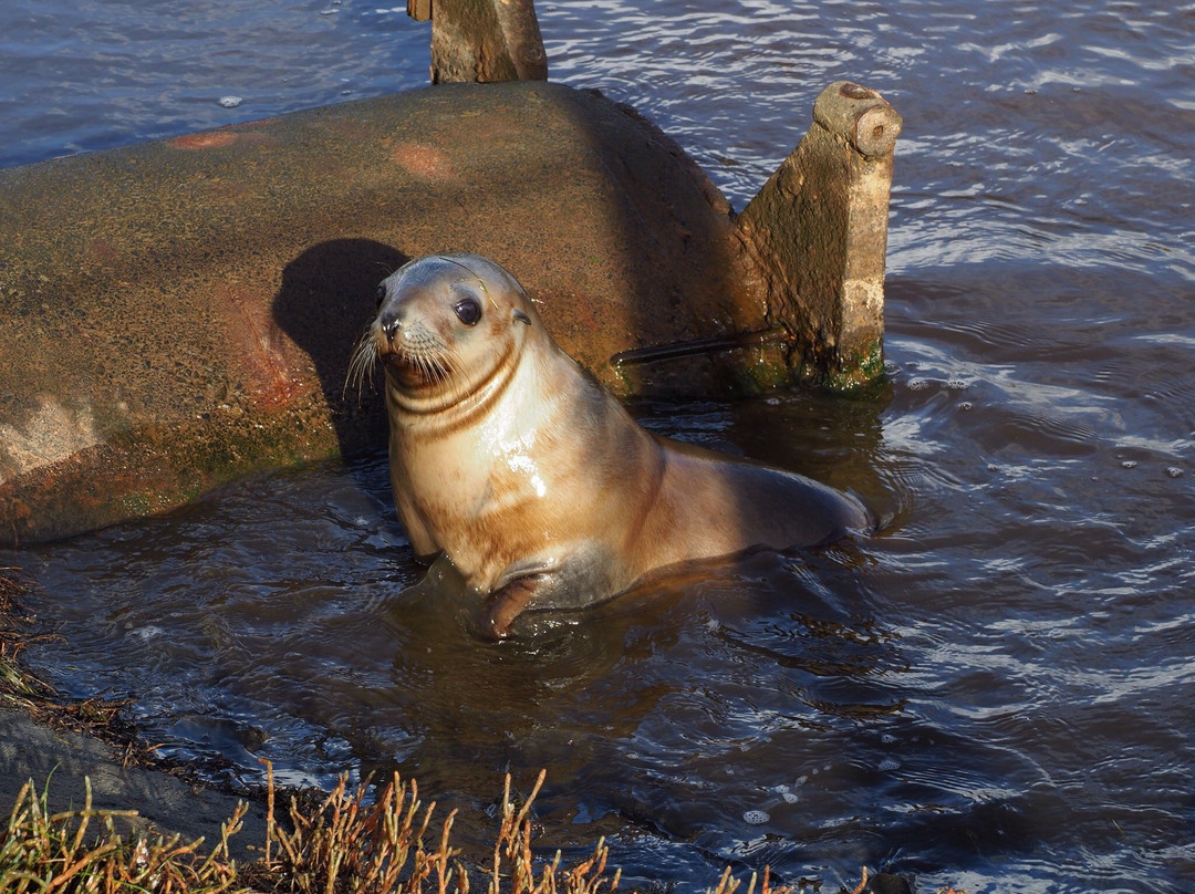 赫尔维卡花园酒店主图