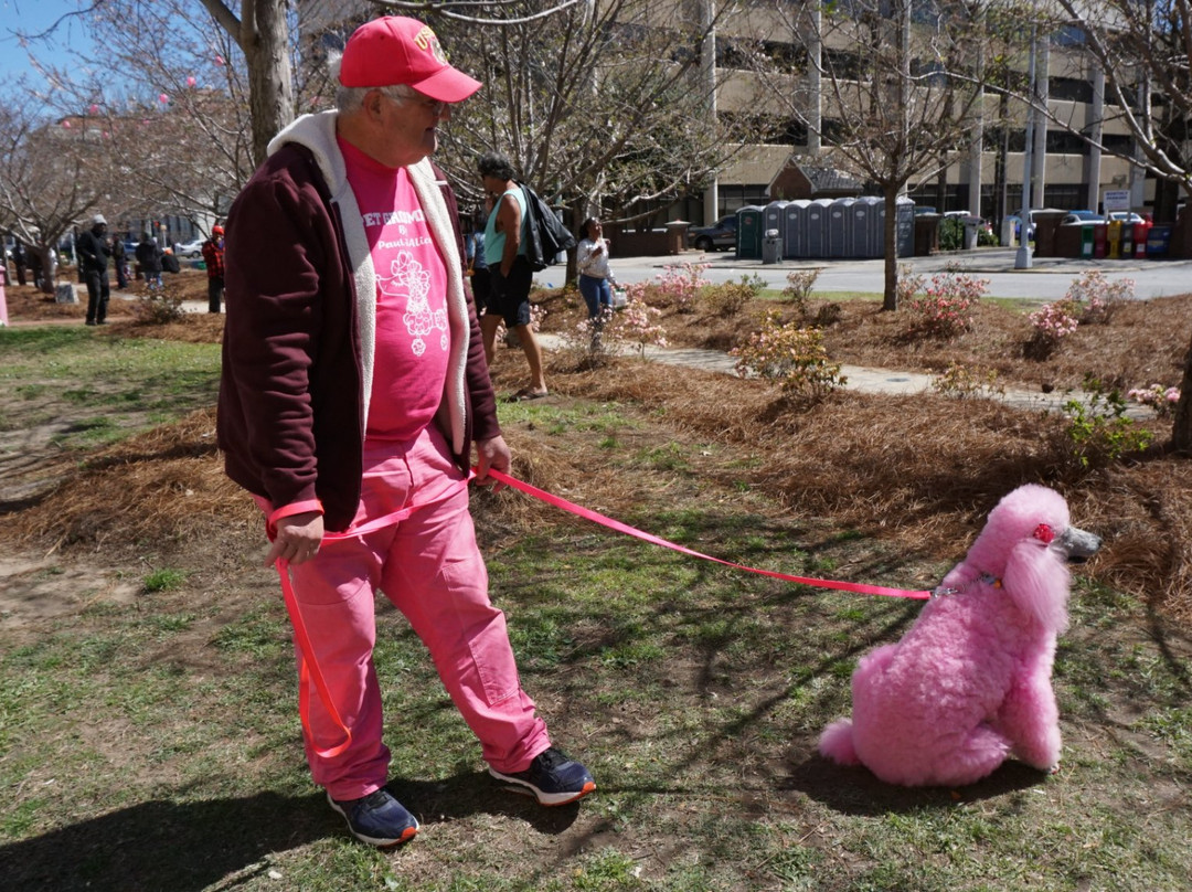 Macon Visitor Information Center-梅肯必去景点