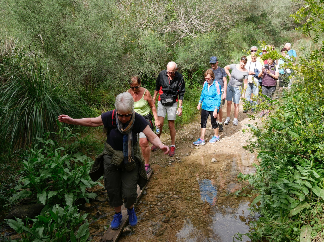 Torrent De Santa Ponca Trail景点图片