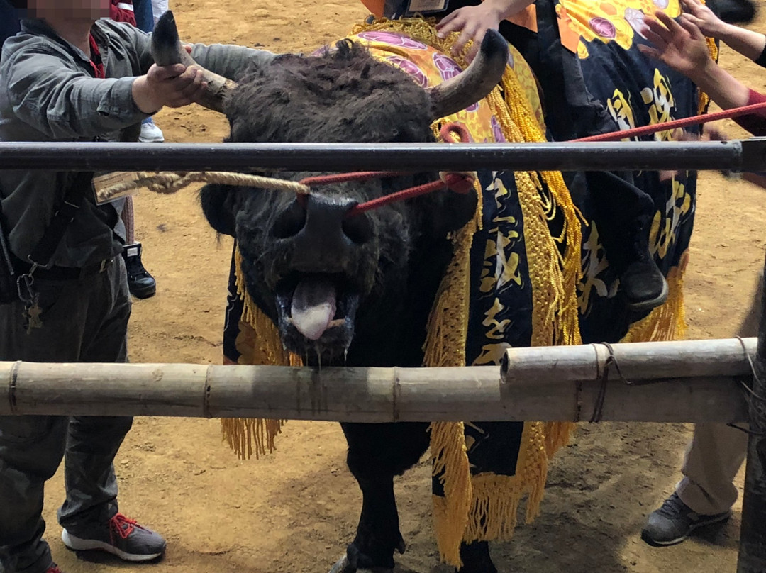 Municipal Bullfights Stadium-宇和岛市必去景点