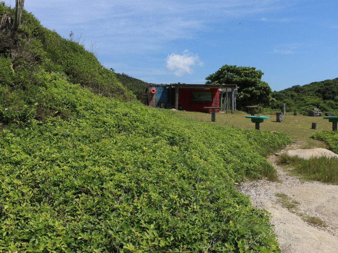 Jose Goncalves Beach-布基亚斯必去景点