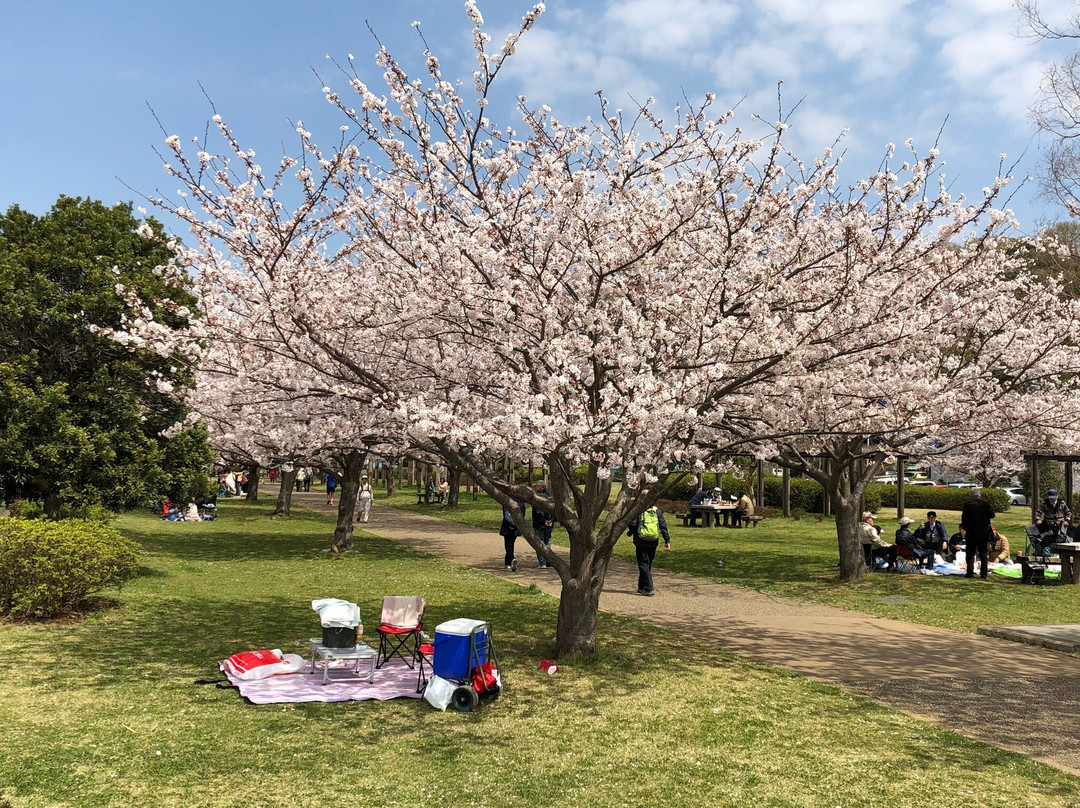 Hikichigawa Shinsui Park-藤泽市必去景点