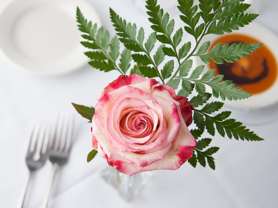 盖恩斯维尔餐馆和美食-Luna's Restaurant