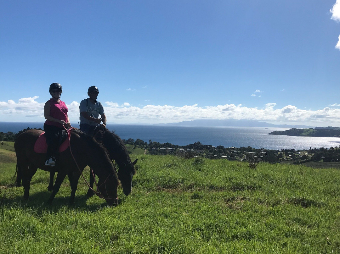 Waiheke Equestrian景点图片