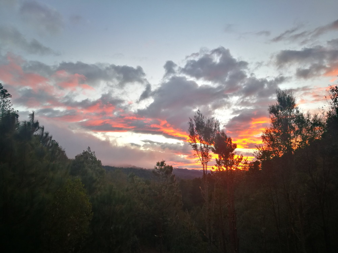 San Jose del Pacifico旅游攻略图片