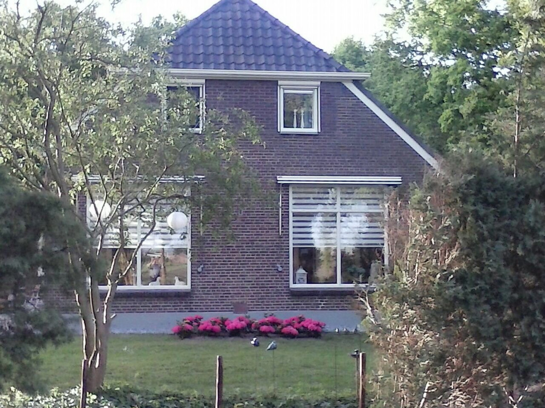 Het Hooge Veentje主图