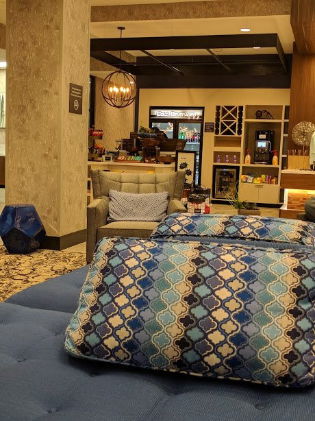 Hilton Garden Inn Dallas/Arlington South主图