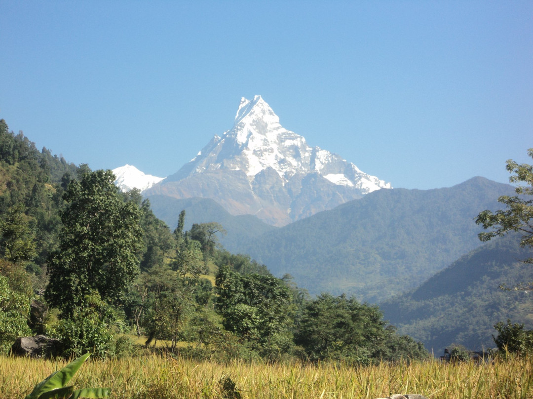 Peace Himalaya Treks And Travels Pvt. Ltd-博卡拉必去景点