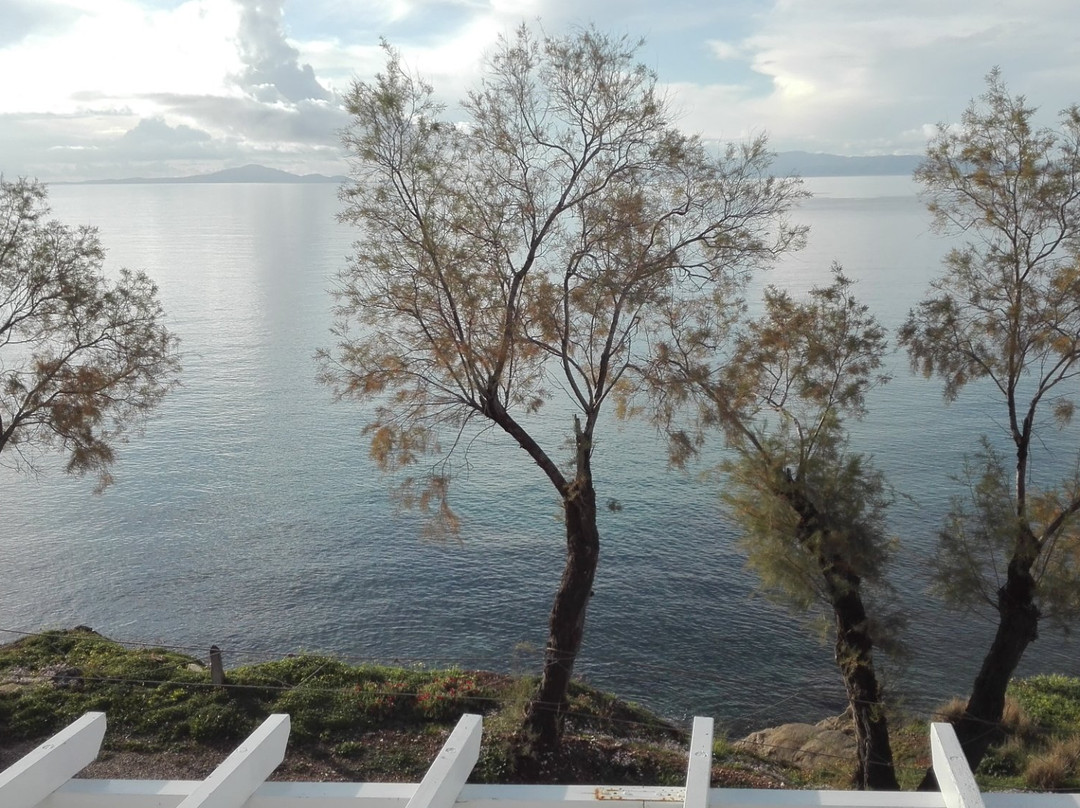 George Guest House主图