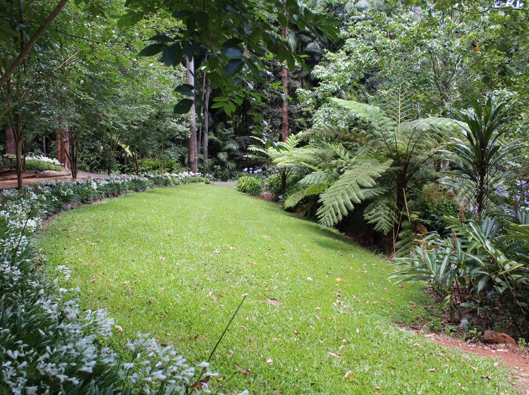 Tamborine Mountain Botanic Gardens景点图片