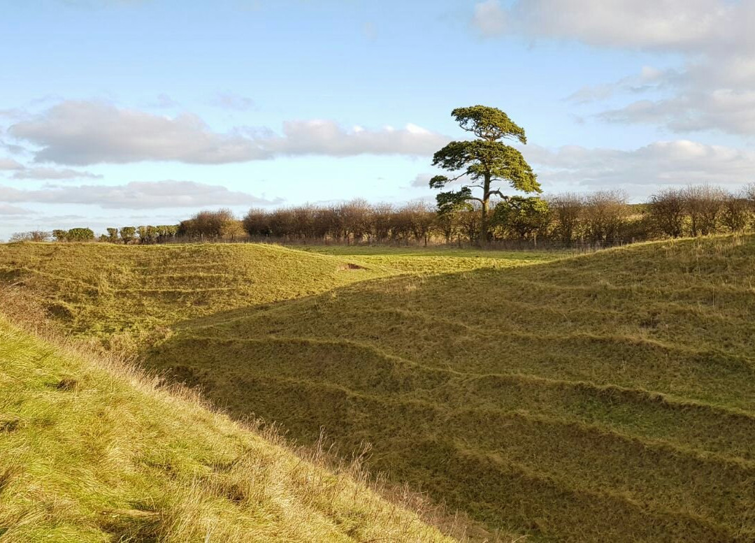 Warham旅游攻略图片