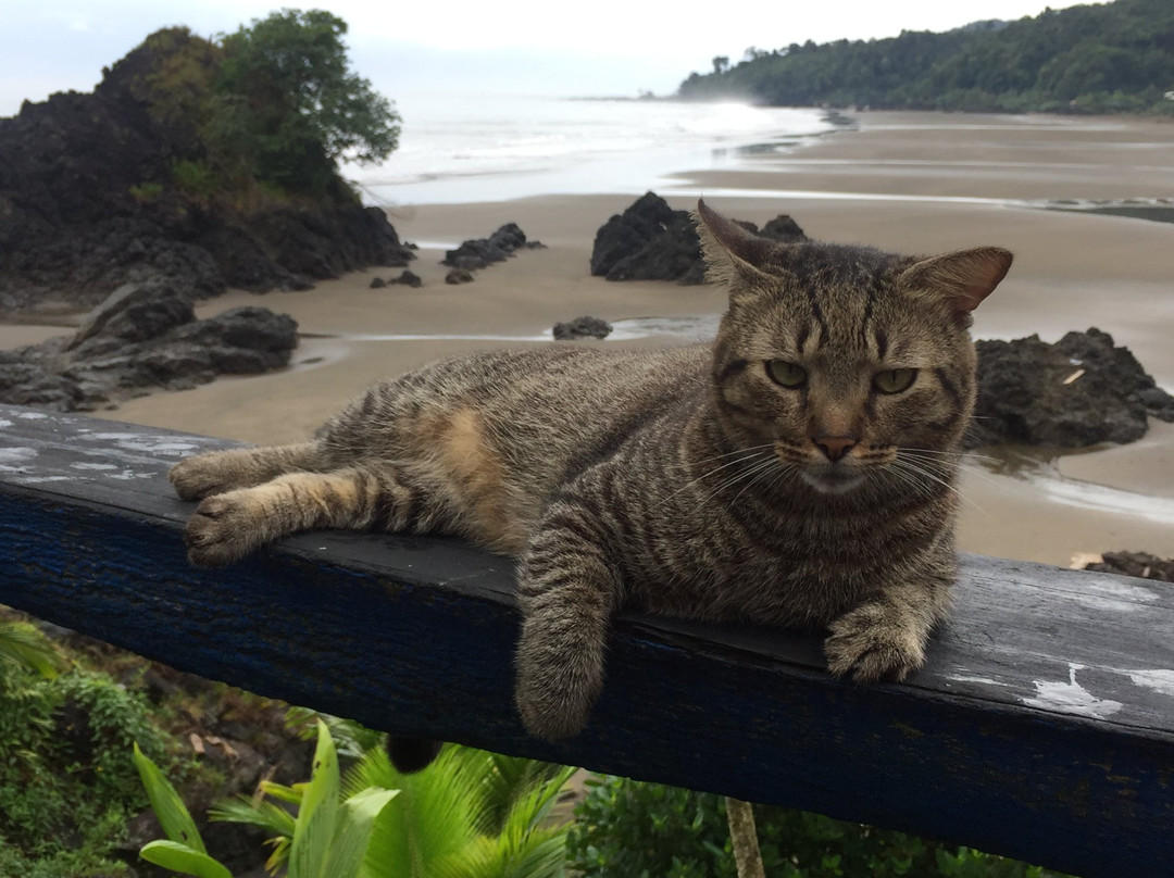 El Morro Hosteria - The Hill B&B主图