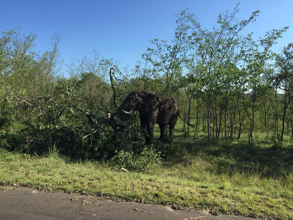 Ashanti Travel-开普敦中心区必去景点