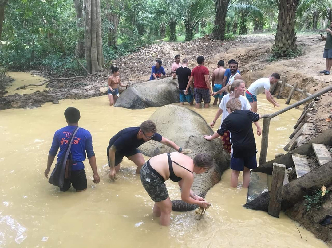 Khao Sok Country Resort主图