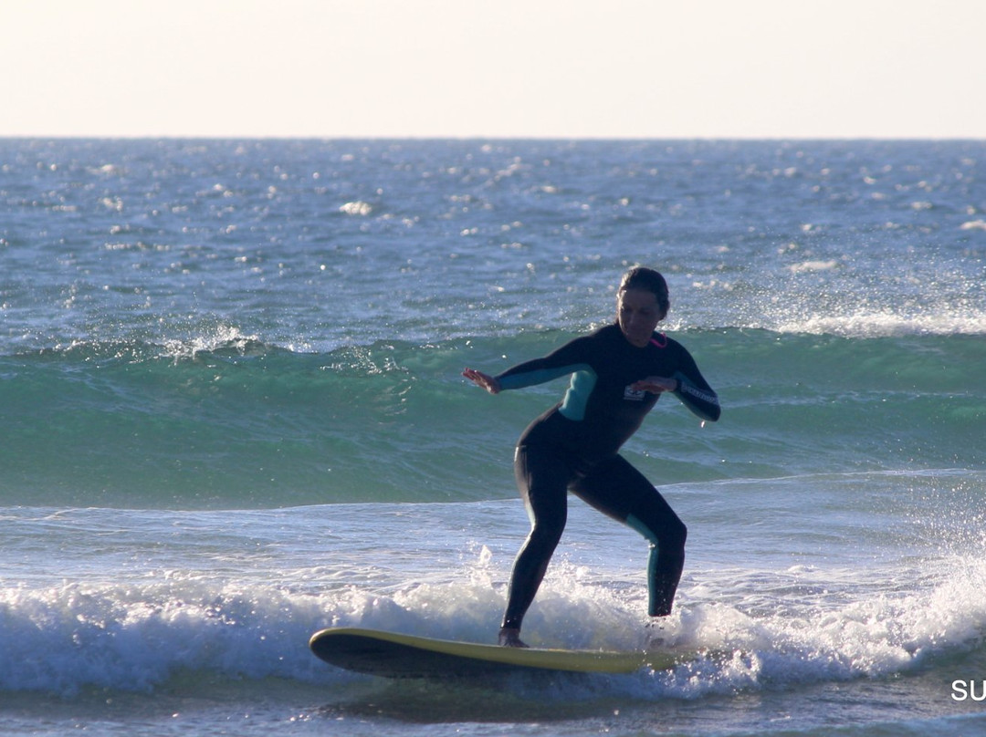 Surf Pro Surf School-里斯本必去景点