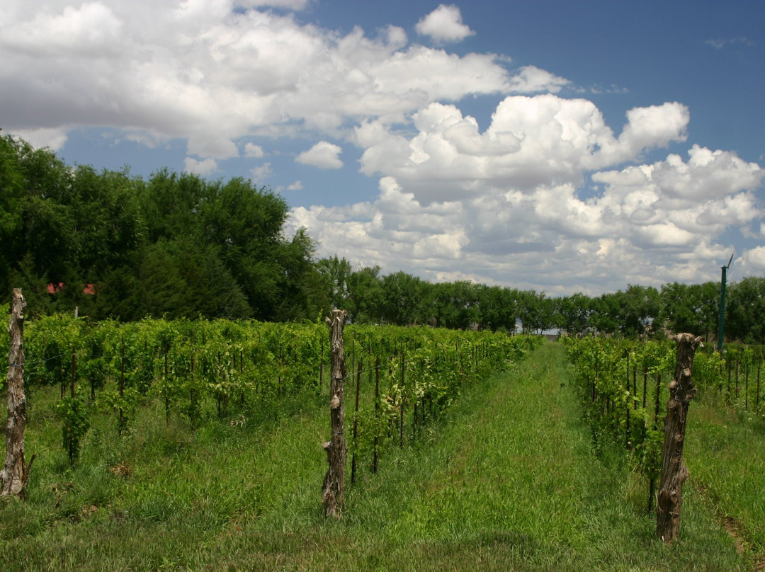 Granite Creek Vineyards-Chino Valley必去景点