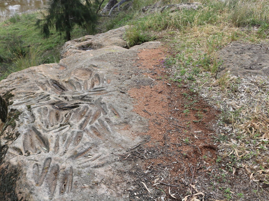 Terramungamine Reserve and Rock Grooves-达博必去景点