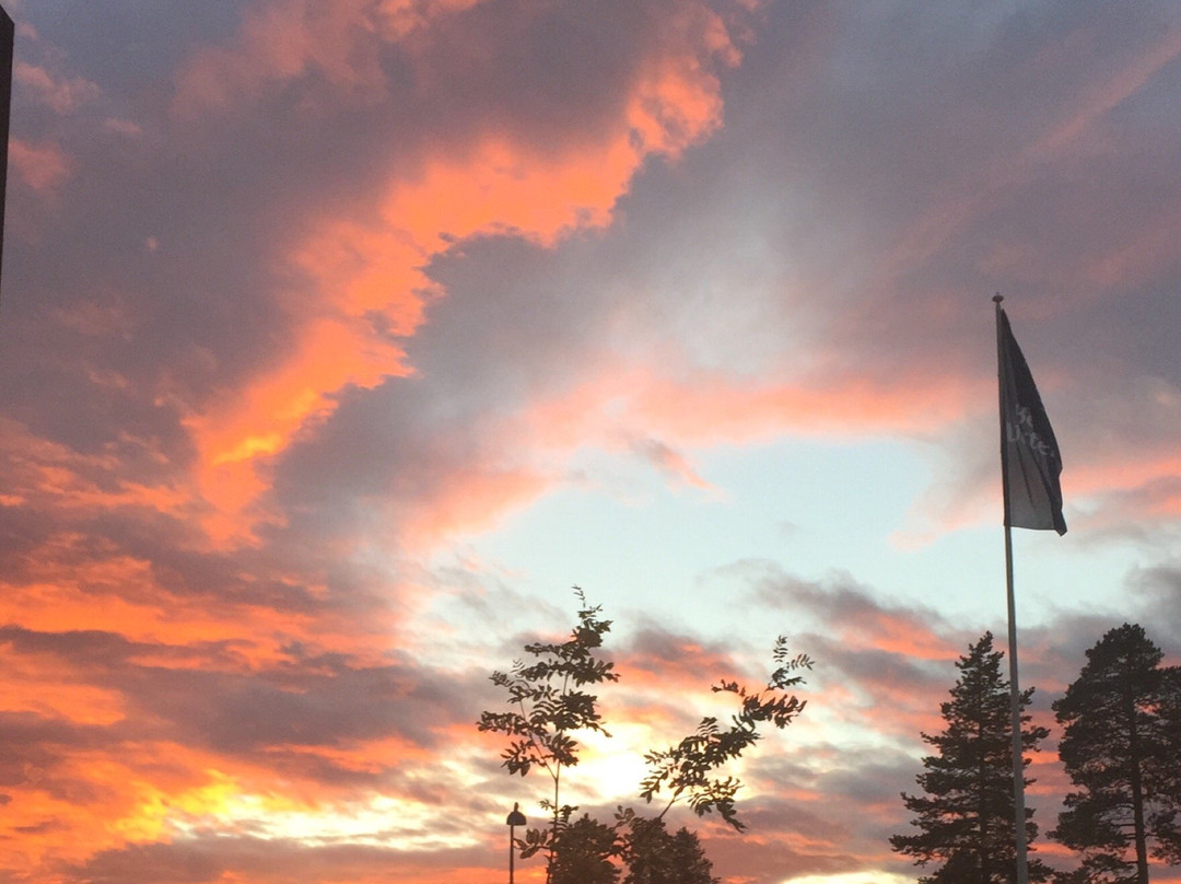 Levi Golf-Levi必去景点