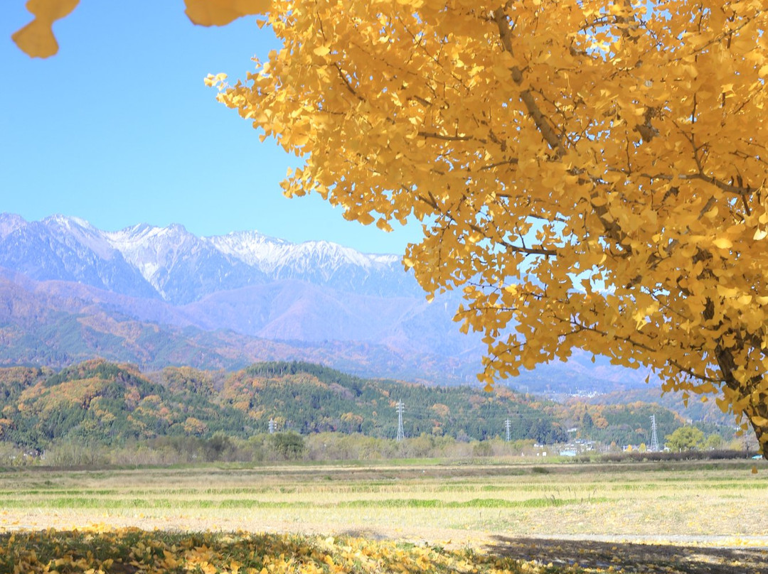 丰丘村旅游攻略图片