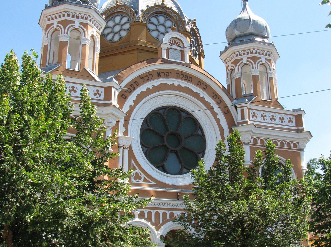 Synagogue of Tg. Mures景点图片