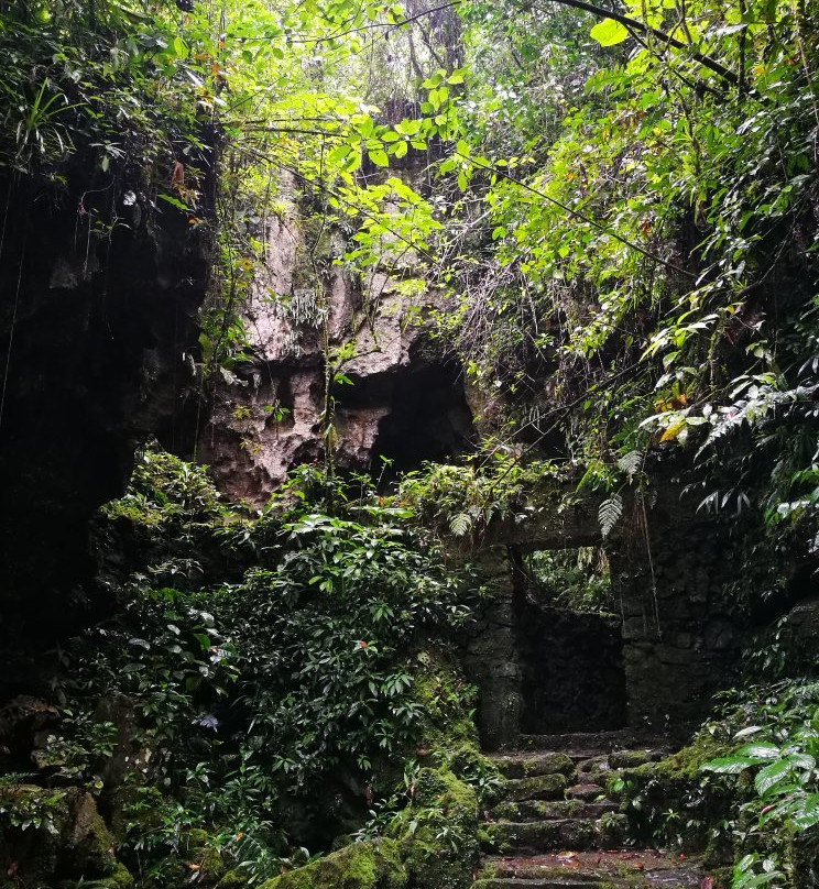 Cueva de Palestina-Nueva Cajamarca必去景点