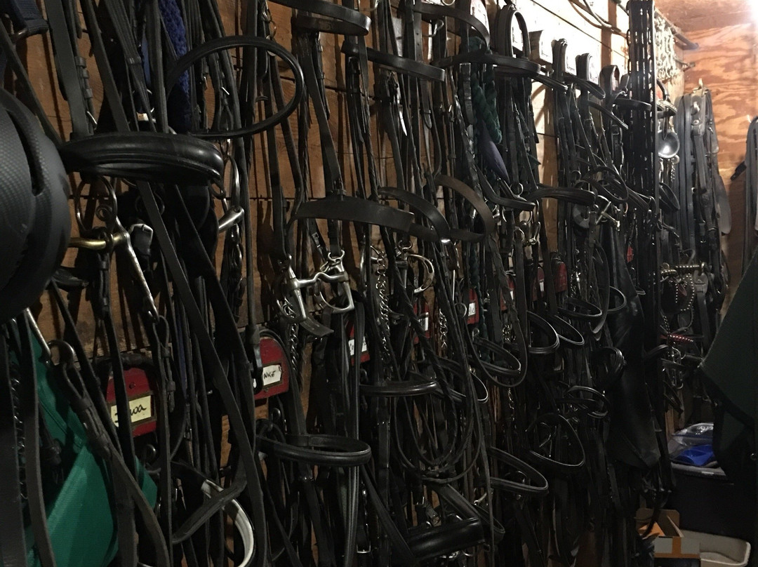 Kedron Valley Stables-伍德斯托克必去景点