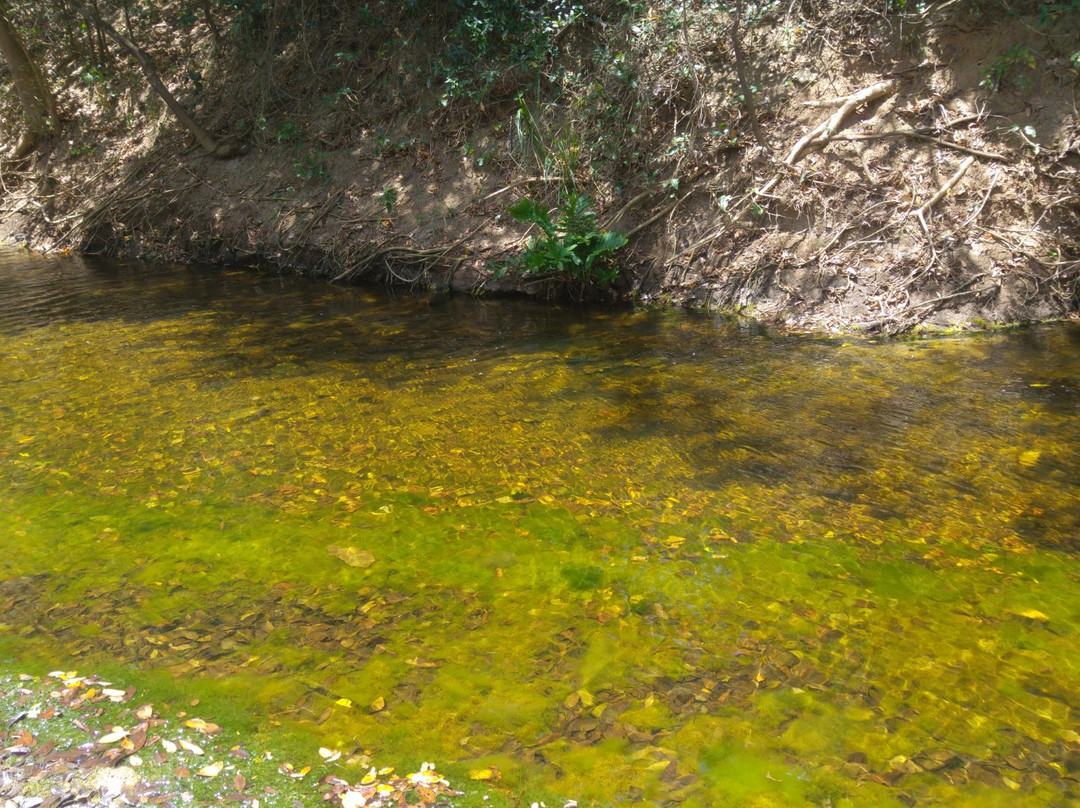 Pedra da Arara-Macambira必去景点