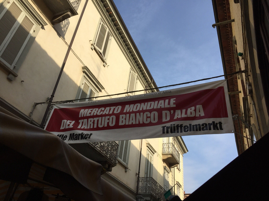 Mercato Ambulante 2.0-阿尔巴必去景点