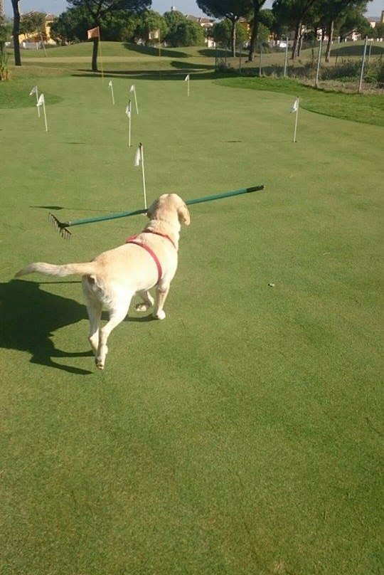 Sancti Petri Hills Golf景点图片