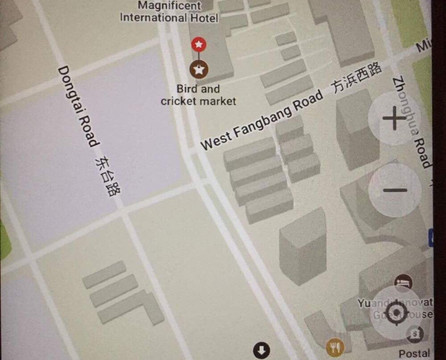 万商花鸟市场(西藏南路)-上海市必去景点