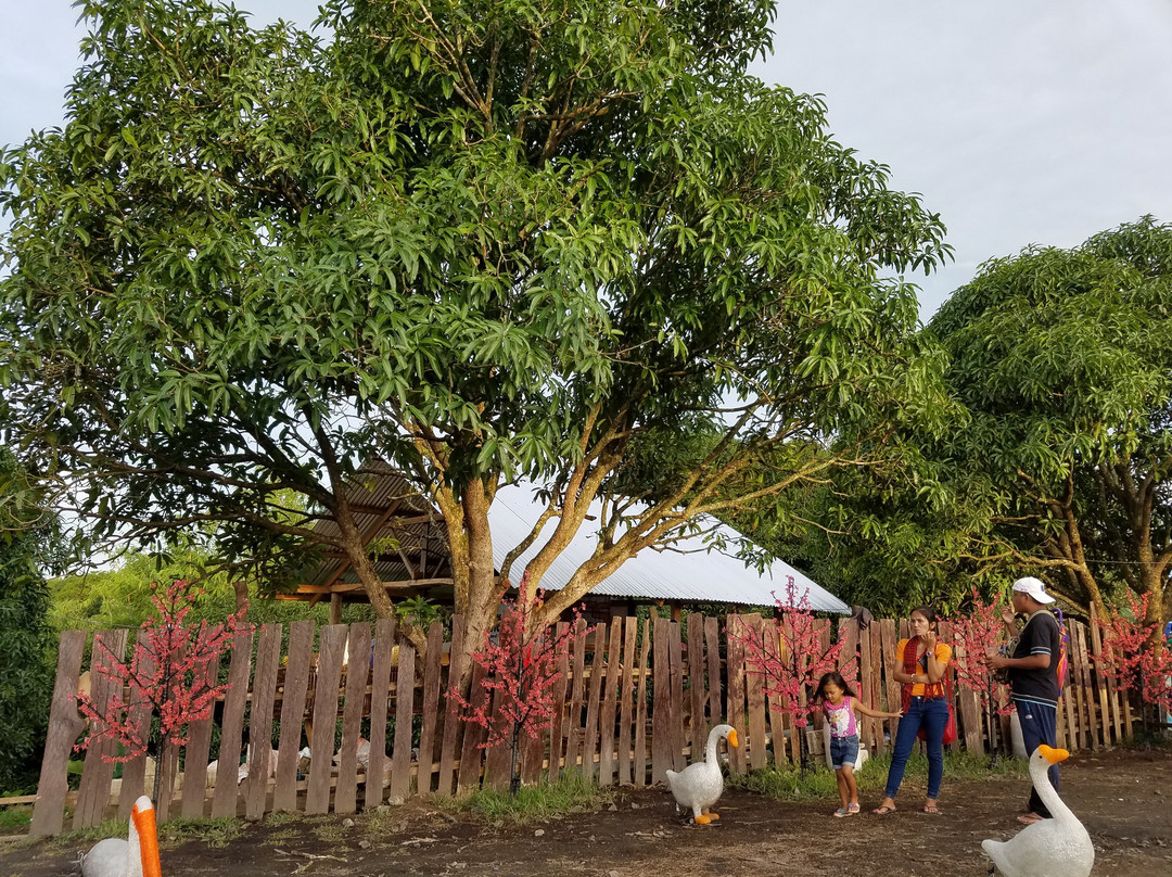 Jardin Necitas景点图片