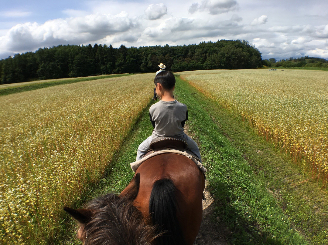 Clark Horse Garden-旭川市必去景点