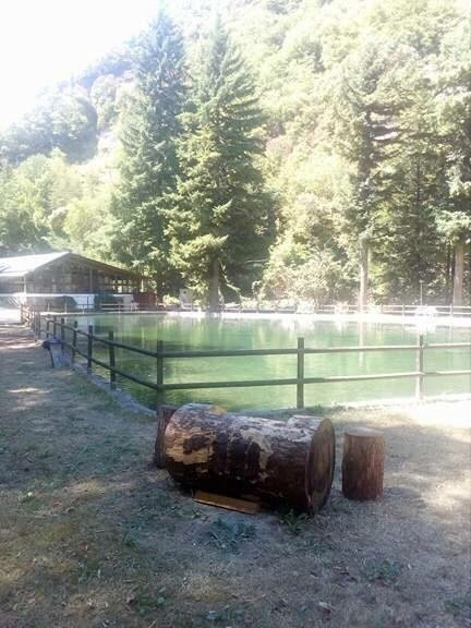 Laghetto di Pesca Sportiva Porchia景点图片