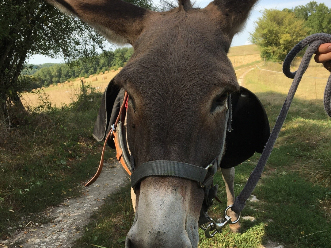 Au pas de l'âne-Les Eyzies-de-Tayac-Sireuil必去景点