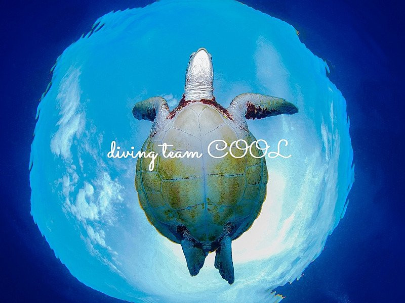 Okinawa Diving Team Cool景点图片