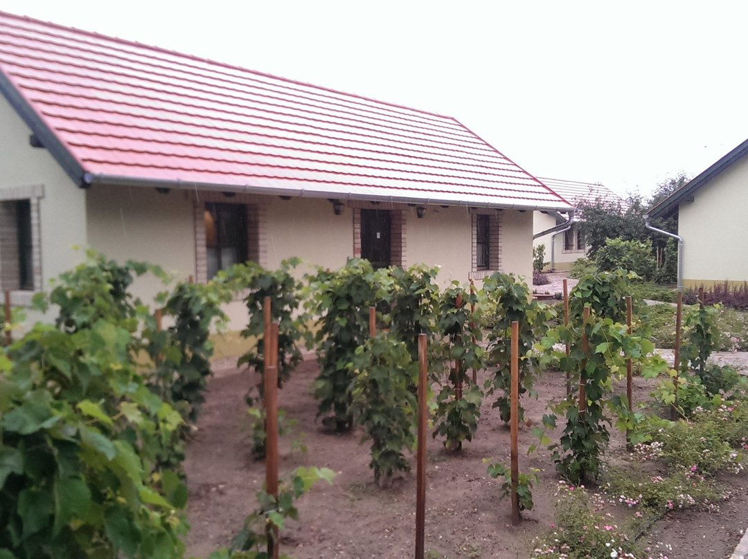 BÉNI Family Wine Farm