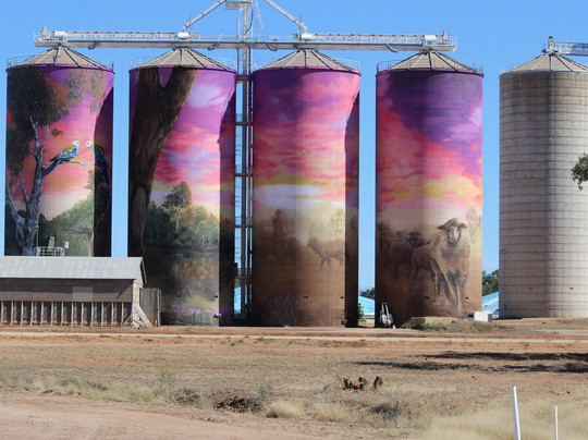 Thallon Silo Mural-Thallon必去景点