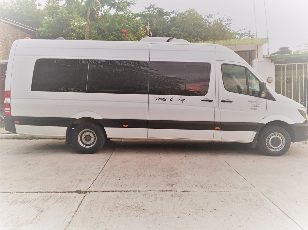 Rutas Mayas Del Sureste-帕伦克必去景点