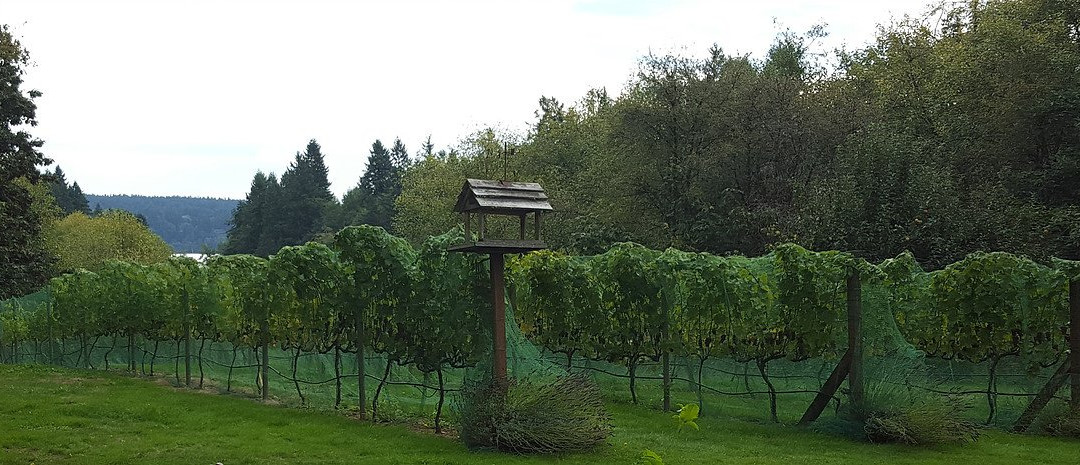 Olalla Vineyard and Winery-Olalla必去景点