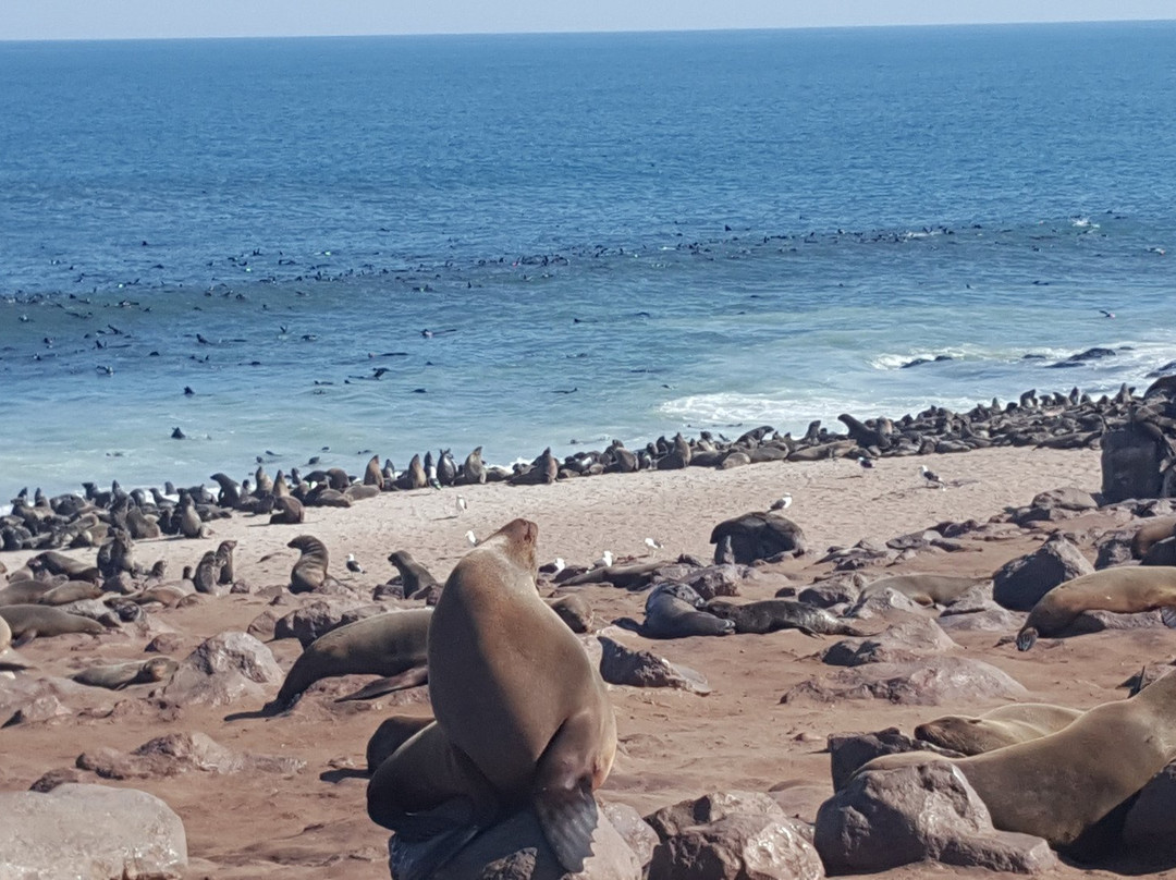 Erongo Region旅游攻略图片