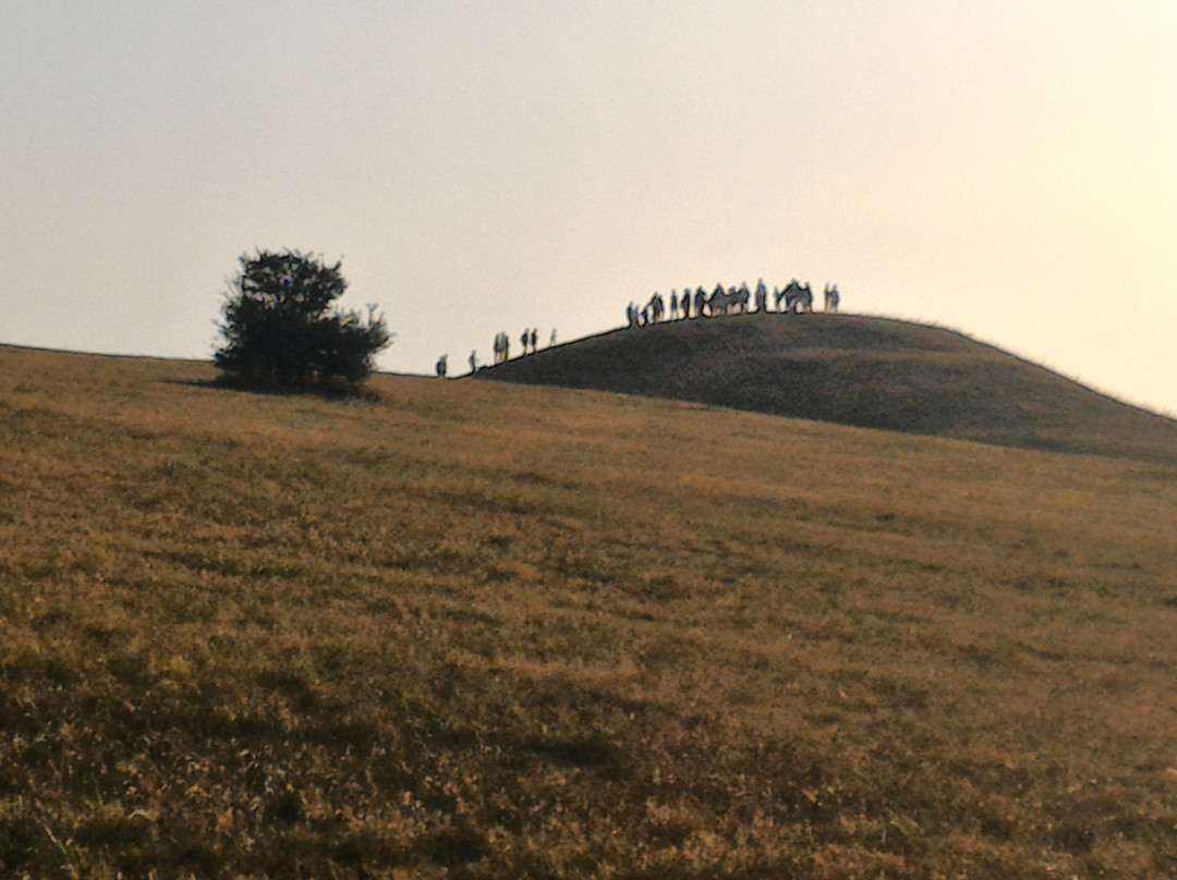 Monte Petrano-Cagli必去景点