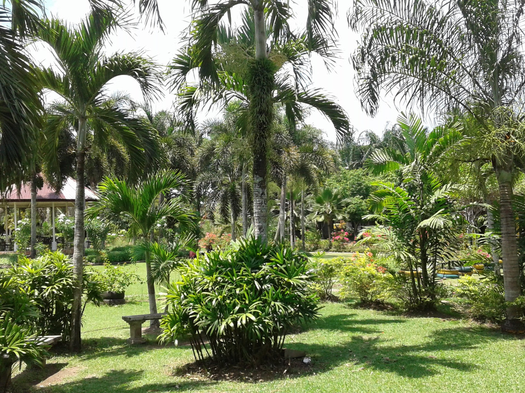 Sagay City Garden and Living Tree Museum-Sagay City必去景点