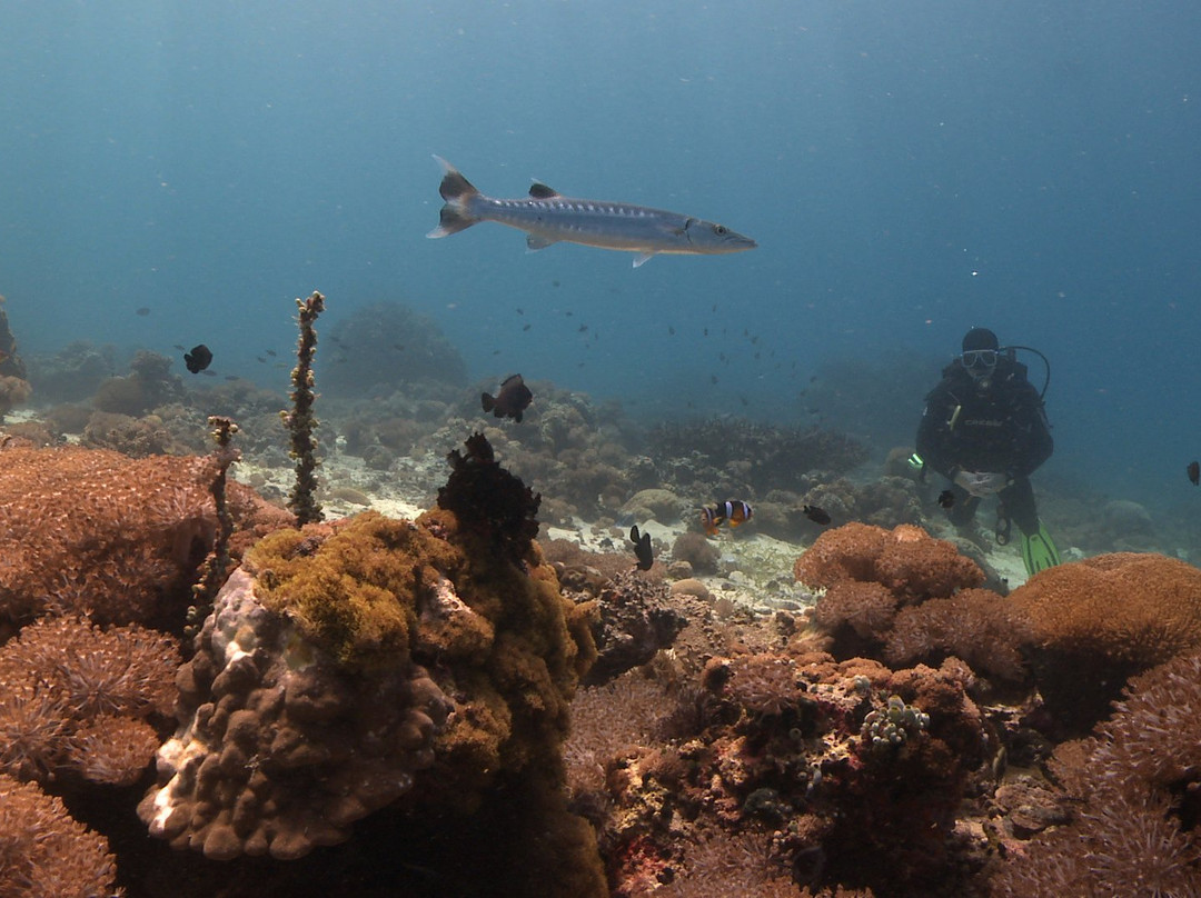 7 Seas Aquanauts-马丹岛必去景点