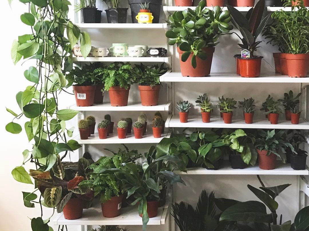 Dots & Loops-卢嫩堡必去景点